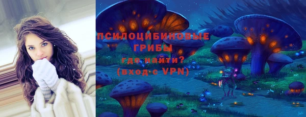 гидропоника Арсеньев
